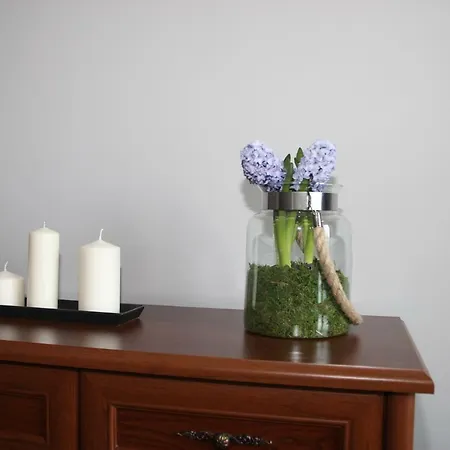 Jumi Apartament Kraków
